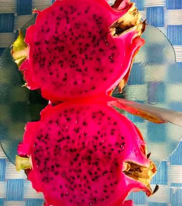 Buah Naga Merah Kaya Manfaat Untuk Ibu Hamil
