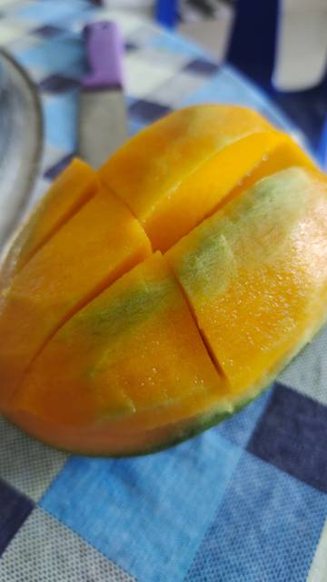 Manfaat Buah Mangga Bagi Ibu Hamil Sehat