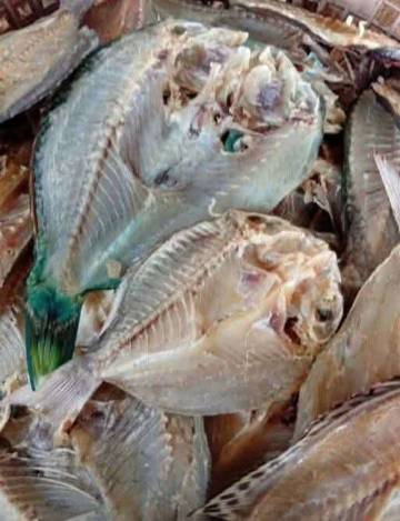 Tradisi Pengolahan Ikan Asin Kabetan Tetap Bertahan