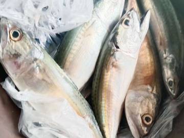 Sumber vitamin D bukan hanya dari sinar matahari 