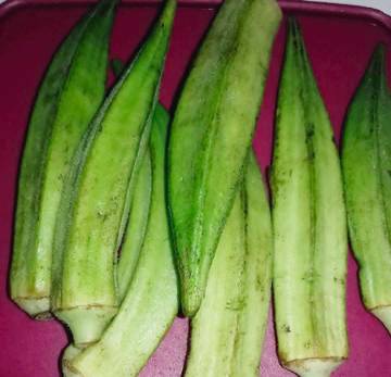 Manfaat Okra Untuk Kesehatan Tubuh dan Kehamilan