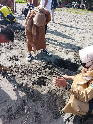 DLH Buol Uji Ikan Terdampar Pesisir Pantai Laboratorium