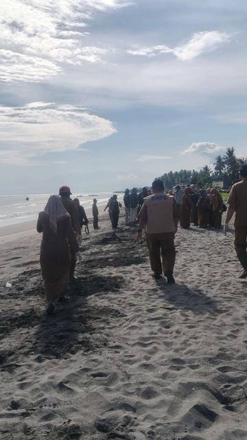 Bangkai Ikan Berserakan, Buol Bergerak Cepat Bersihkan