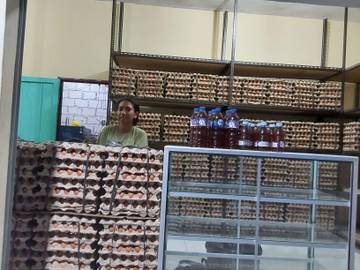 Peluang Usaha Telur Lokal di Kota Tual
