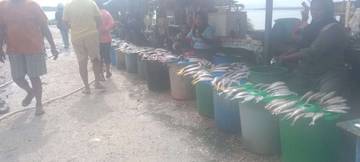 Warga Tetap Beli Ikan Meskipun Harga Melonjak Tinggi