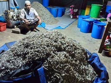 Produksi Teri Asin Di Kota Tual Menurun