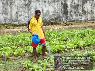Ciptakan Petani Unggul, Cara Lapas Jaga Ketahanan Pangan