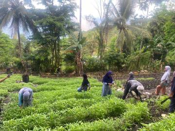 Majelis Taklim Kembangkan Kelompok Sayur, Didukung Pemuda Pemudi.