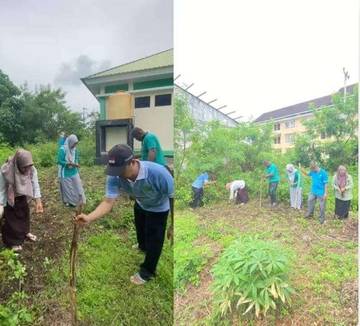 Program Hasta Protas Kementrian Agama Lewat Penanaman Jagung