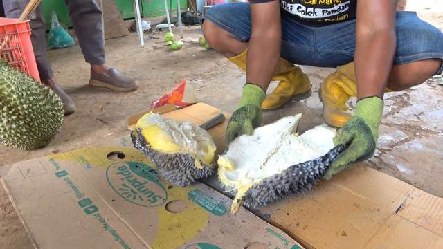 Sensasi Makan Durian Montong Bakar di Lamongan