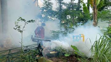 Awal Tahun, Puluhan Penderita di Tuban Terserang DBD