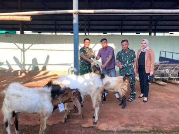 BRI Tuban Bagikan Hewan dan Daging Kurban