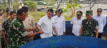 Staf Presiden Apresiasi Inovasi Ketahanan Pangan Kampung Pandu