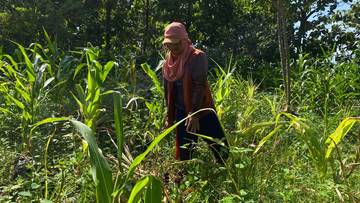 Mayoritas Petani Tuban Belum Terlindungi Jaminan Sosial