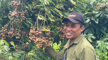 Petik Kelengkeng Bojonegoro, Pengelolaan Hortikultura Berbasis Keberlanjutan