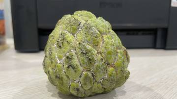 Discover the Surprising Health Benefits of Srikaya