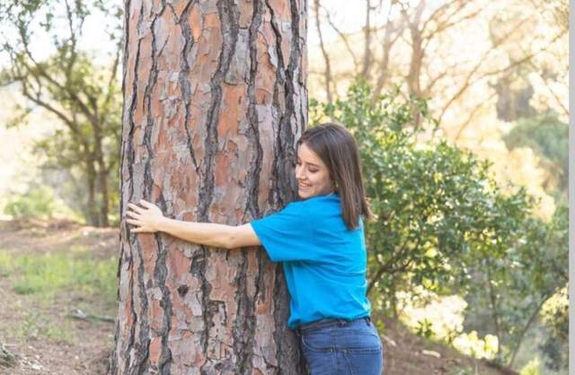 Apakah Dengan Memeluk Pohon Bisa Bantu Redakan Stres?