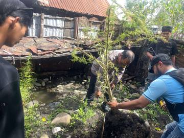 Polres Jayawijaya Amankan Tanaman Ganja di Wouma
