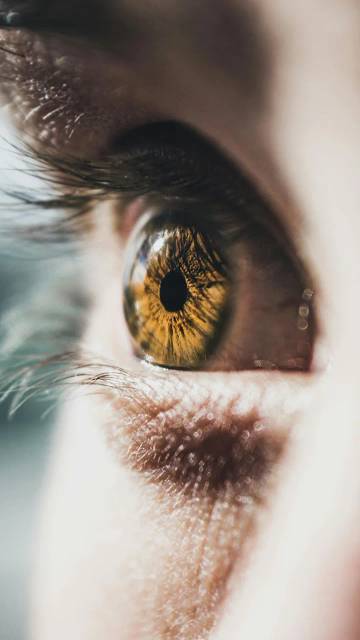 12 Maret Setiap Tahunnya diperingati sebagai Hari Glaukoma Sedunia