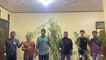 PolresJayawijaya Tangkap Puluhan Anak Dibawa Umur Pengguna Narkotika