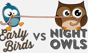 Fun Fact Night Owl VS Early Bird