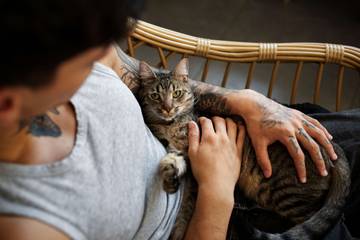 Memelihara Kucing di Rumah Memiliki Banyak Manfaat