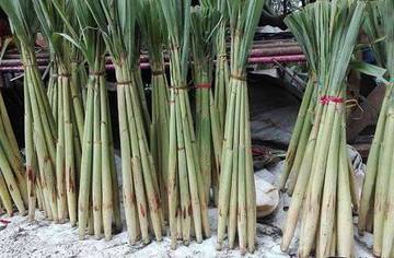 Manfaat Sayur Lilin Bagi Kesehatan 