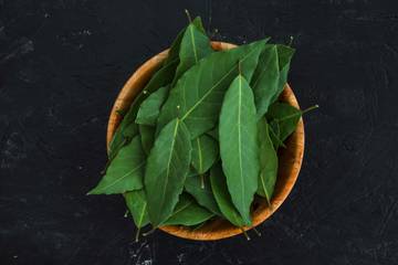 Manfaat Daun Salam Bagi Kesehatan