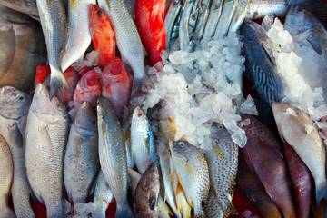 Kasta Ikan dengan Protein Terbaik untuk Konsumsi Harian