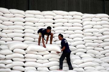 Cadangan Beras 3,8 Juta Ton, Indonesia Dekat Swasembada