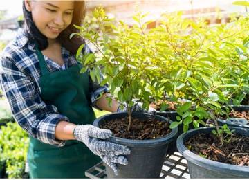 5 Manfaat Berkebun Di Pagi Hari