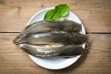 Manfaat ikan lele bagi kesehatan yang jarang diketahui