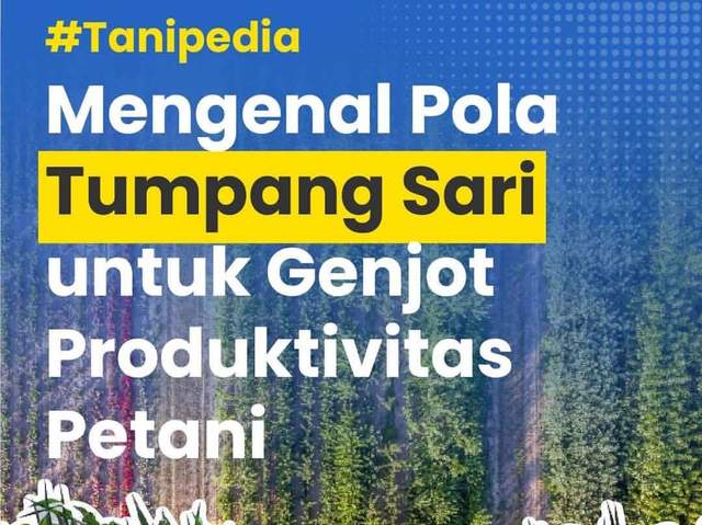Penerapan Tumpang Sari untuk Maksimalkan Hasil Panen