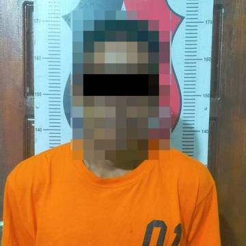DPO Pelaku Pencurian Kelapa Sawit  PT.AKG Ditangkap