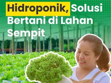 Kementan Dorong Pertanian Hidroponik sebagai Solusi Lahan Sempit