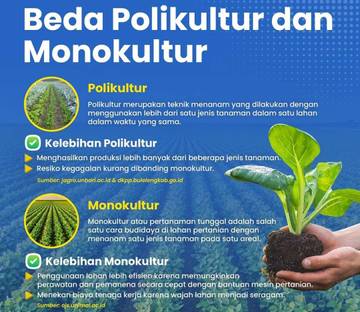 Pola Tanam Polikultur dan Monokultur Optimalkan Hasil Pertanian