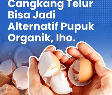 Cangkang Telur, Pupuk Organik Kaya Manfaat