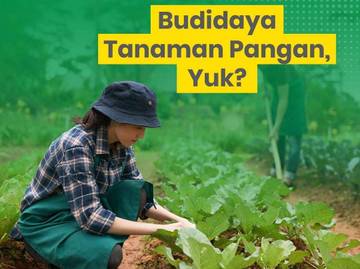 Kementan Sarankan Tanam Pangan Sederhana di Rumah