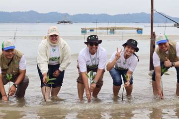 PLN Lampung Tanam Mangrove di Kawasan Pesisir