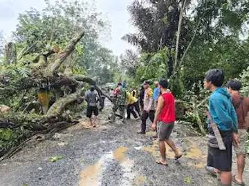TNI-Polri Gerak Cepat Evakuasi Pohon Tumbang