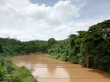 Sungai, Sumber Kehidupan yang Tak Tergantikan
