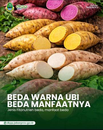 Beda Warna Ubi Beda Manfaatnya 
