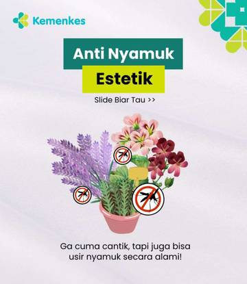 Anti Nyamuk Estetik