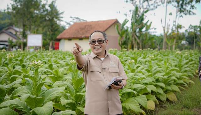 Sofwan Kritisi Rencana Penambahan Layer Cukai Rokok, Berpotensi PHK 