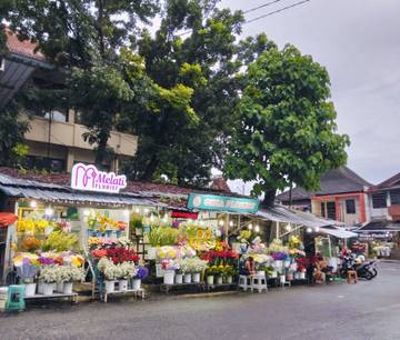 Jalan Ahmad Jazuli: Surganya Pecinta Bunga di Kota Yogyakarta