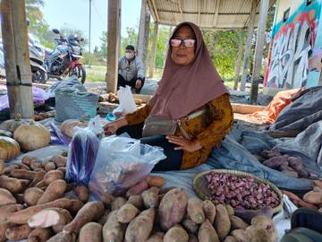 Petani Pesisir Pantai Selatan Dongkrak Ekonomi Lokal