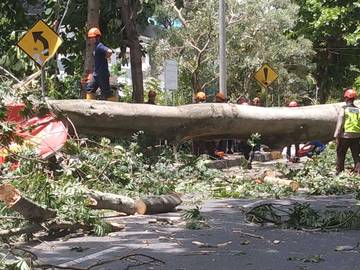 Angin Kencang Terjang DIY, BPBD Catat Dampak Kerusakan