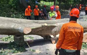 Dampak Kerusakan Akibat Angin Kencang di DIY