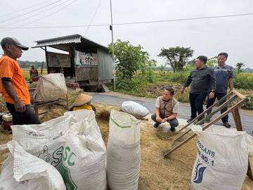 Sergap, Jurus Bulog Yogyakarta Dukung Keberlanjutan Swasembada Beras