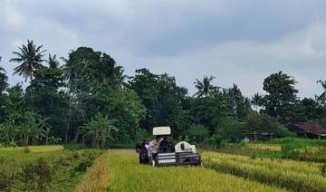 Dukung Swasembada Pangan, Bantul Targetkan Peningkatan Luas Tanam